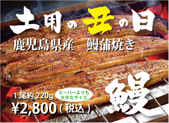 鹿児島県産-鰻蒲焼